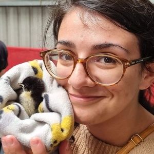 Meet your Posher, Bailey